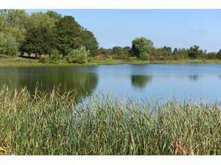 Property photo 39 - Tillable, Pasture, Recreational, Hunting and Fishing Property  